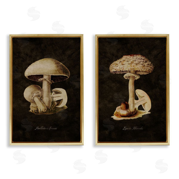 Stupell Industries Tina Higgins Designs Inc. | Vintage Mushrooms On Black