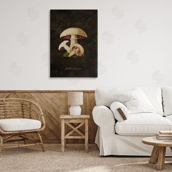 Stupell Industries Tina Higgins Designs Inc. | Vintage Portobello Mushroom Wall Art