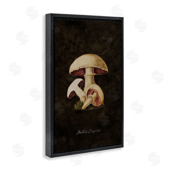 Stupell Industries Tina Higgins Designs Inc. | Vintage Portobello Mushroom Wall Art