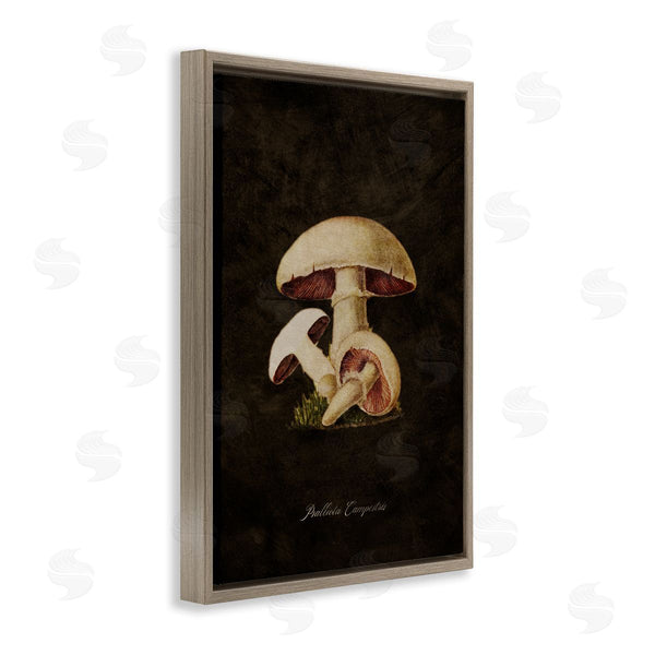 Stupell Industries Tina Higgins Designs Inc. | Vintage Portobello Mushroom Wall Art