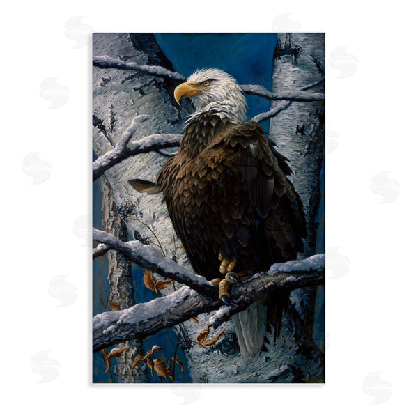 stupell industries Tom Antonishak | America's Pride Bald Eagle