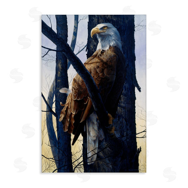 stupell industries Tom Antonishak | Eagle's Light Majestic View