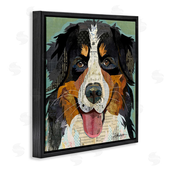 Stupell Industries Traci Anderson | Bernese Mountain Dog Collage