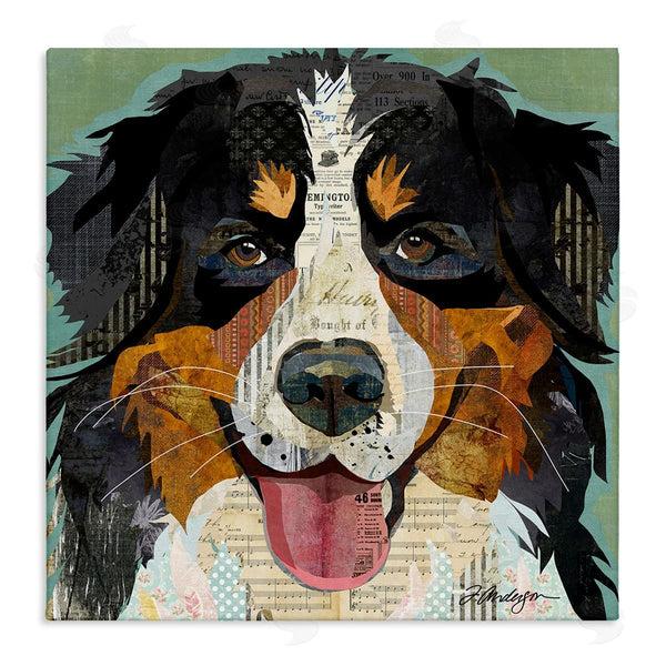 stupell industries Traci Anderson | Bernese Mountain Dog Collage