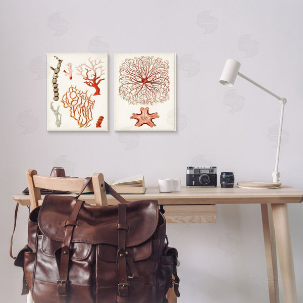 Stupell Industries Unknown Artist | Collage Of Unique Ocean Coral Red Brown Wall Art