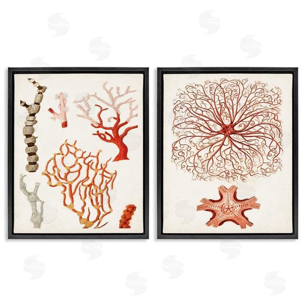 Stupell Industries Unknown Artist | Collage Of Unique Ocean Coral Red Brown Wall Art