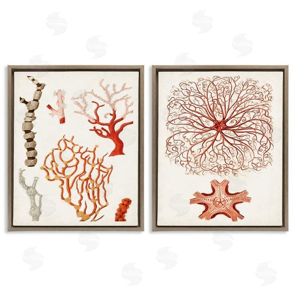 Stupell Industries Unknown Artist | Collage Of Unique Ocean Coral Red Brown Wall Art