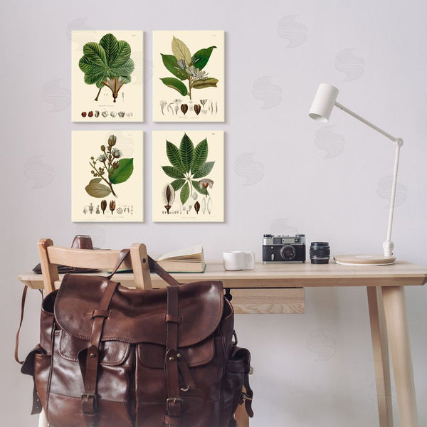 Stupell Industries Unknown Artist | Plant Anatomy Chart Vintage Illustration Wall Art