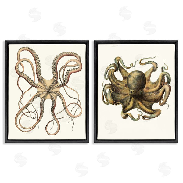Stupell Industries Unknown Artist | Vintage Octopus Illustration Curved Tentacles Wall Art