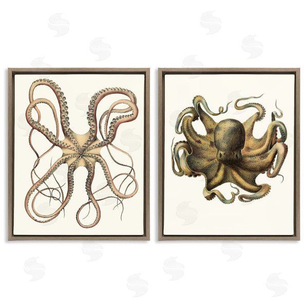 Stupell Industries Unknown Artist | Vintage Octopus Illustration Curved Tentacles Wall Art