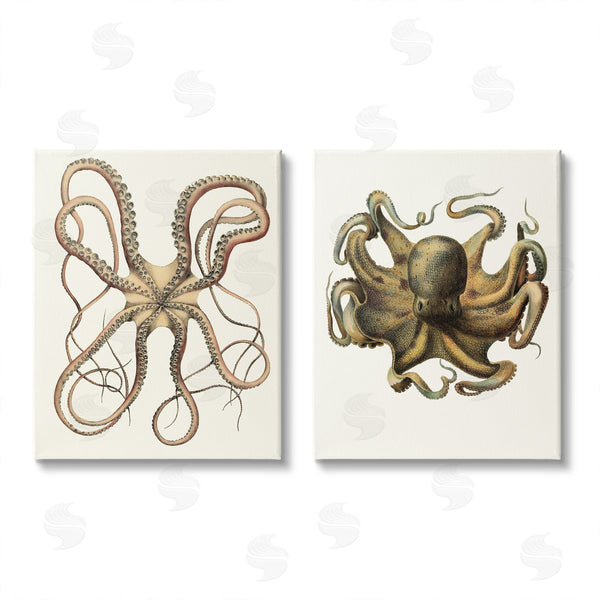 stupell industries Unknown Artist | Vintage Octopus Illustration Curved Tentacles Wall Art