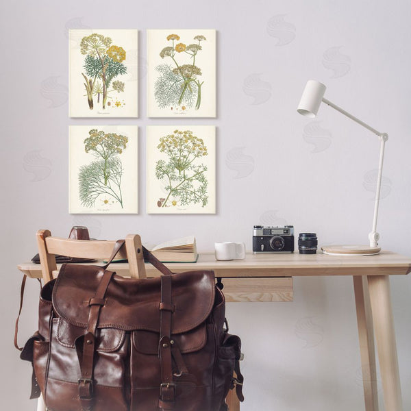 Stupell Industries Unknown Artist | Vintage Saffron Study With Floral Herbs Wall Art