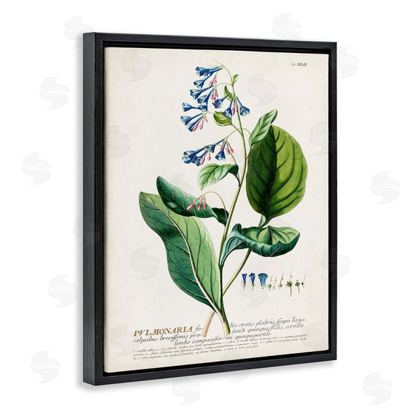 Stupell Industries Unknown | Botanical Blue Flowers Vintage Design