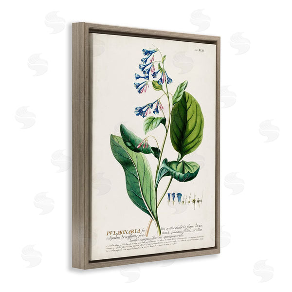 Stupell Industries Unknown | Botanical Blue Flowers Vintage Design