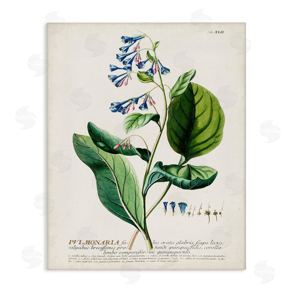 stupell industries Unknown | Botanical Blue Flowers Vintage Design