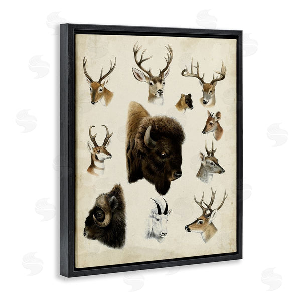 Stupell Industries Unknown | Buffalo & Elks Woodland Animals