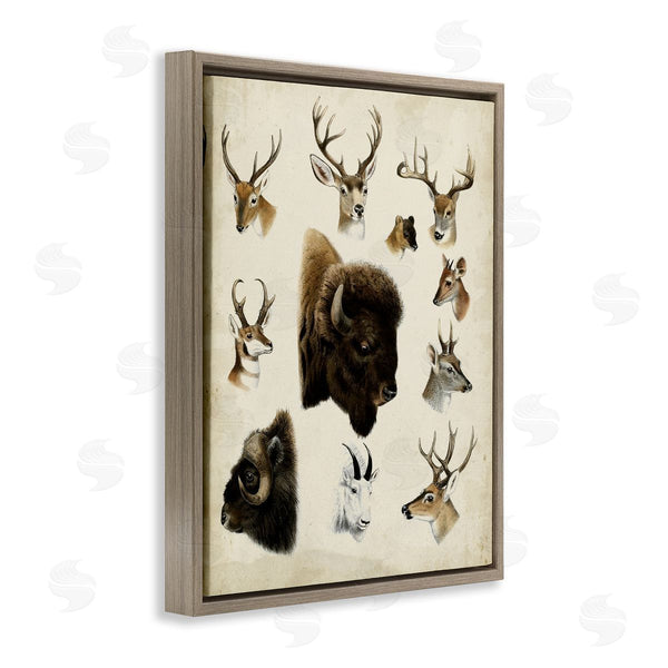 Stupell Industries Unknown | Buffalo & Elks Woodland Animals