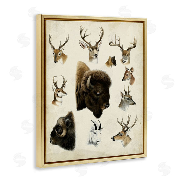 Stupell Industries Unknown | Buffalo & Elks Woodland Animals