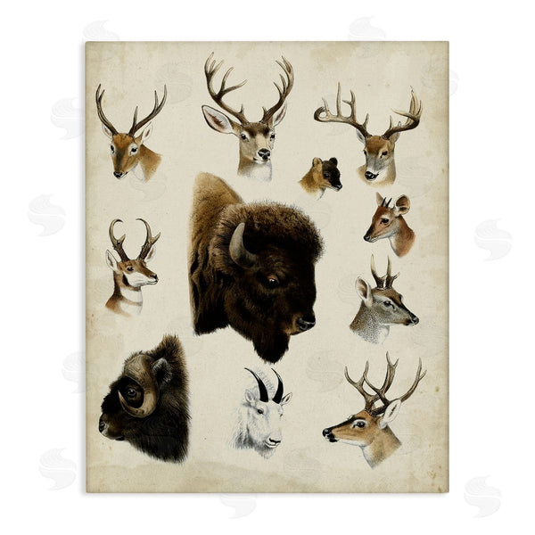 stupell industries Unknown | Buffalo & Elks Woodland Animals