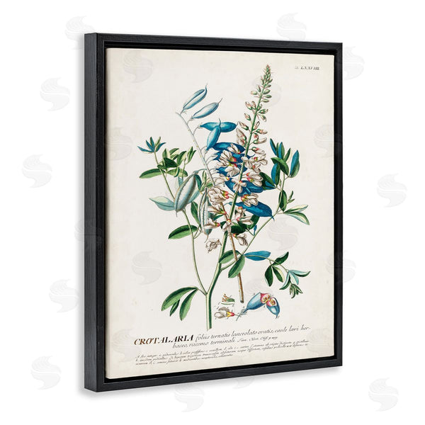 Stupell Industries Unknown | Flowers And Leaves Vintage Design