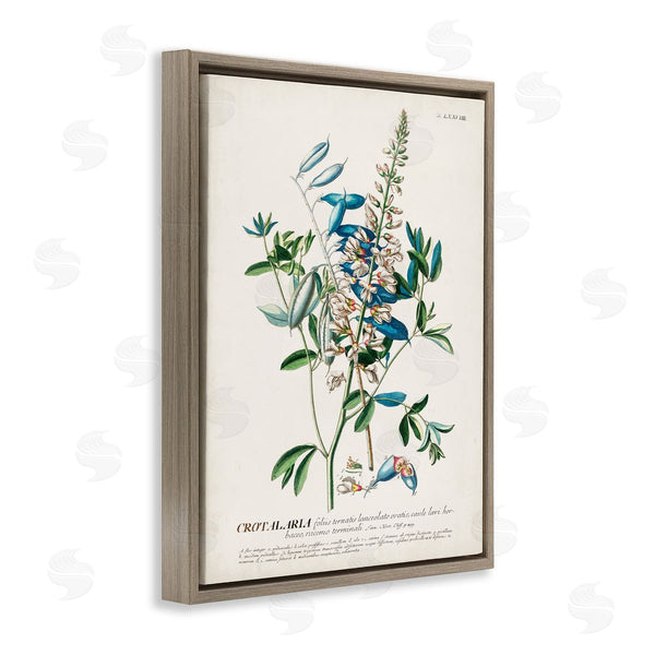 Stupell Industries Unknown | Flowers And Leaves Vintage Design