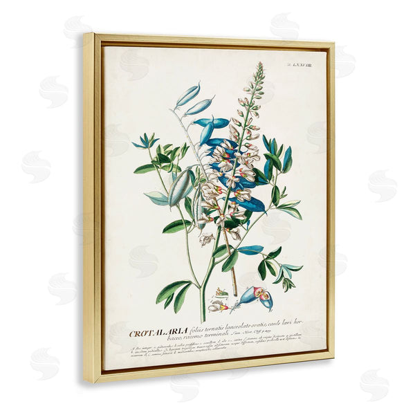 Stupell Industries Unknown | Flowers And Leaves Vintage Design