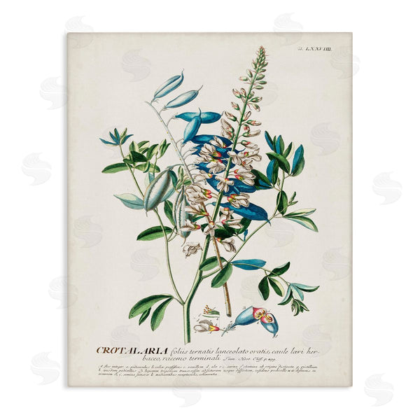 stupell industries Unknown | Flowers And Leaves Vintage Design