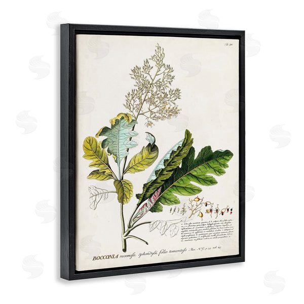 Stupell Industries Unknown | Vintage Botanical Plant Illustration