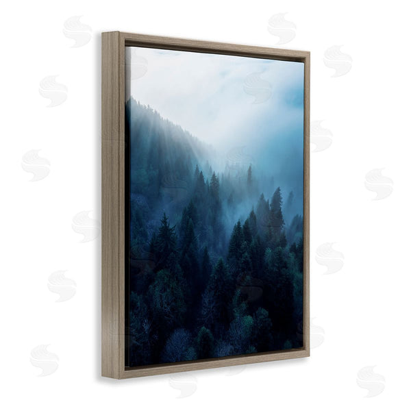 Stupell Industries Unsplash | Daylight Over Pine Forest