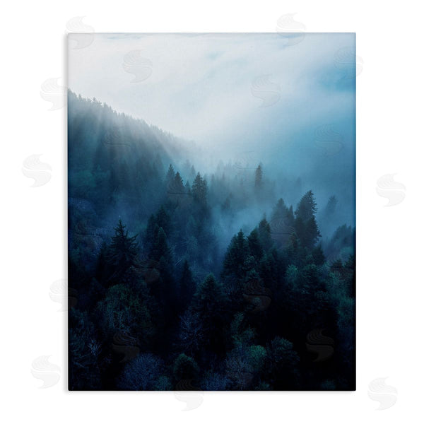 stupell industries Unsplash | Daylight over Pine Forest