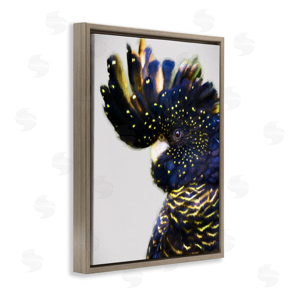 Stupell Industries Urban Road | Tropical Bird Blue Yellow Feathers