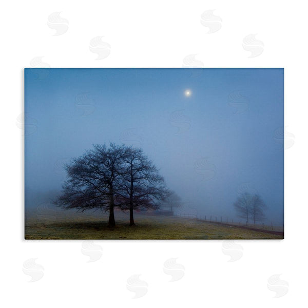 stupell industries Urtzi Vera | Blue Silence Landscape