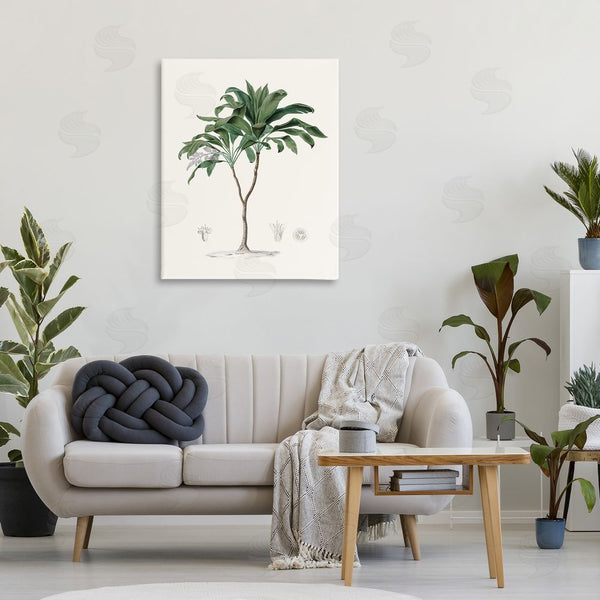 Stupell Industries Val Rhodes | Coastal Palms Vintage Wall Art