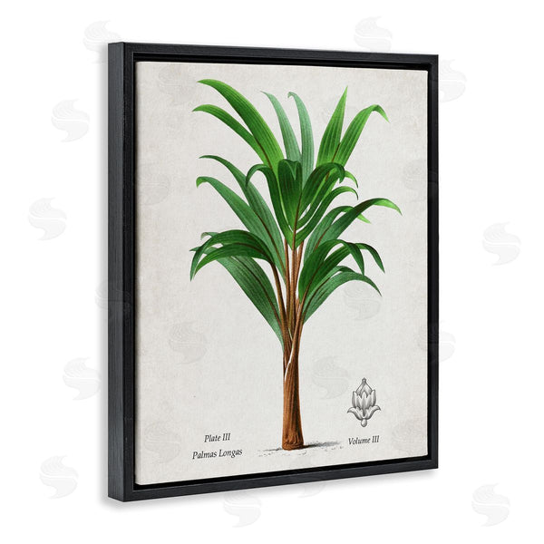 Stupell Industries Val Rhodes | Vintage Banana Leaf Palm