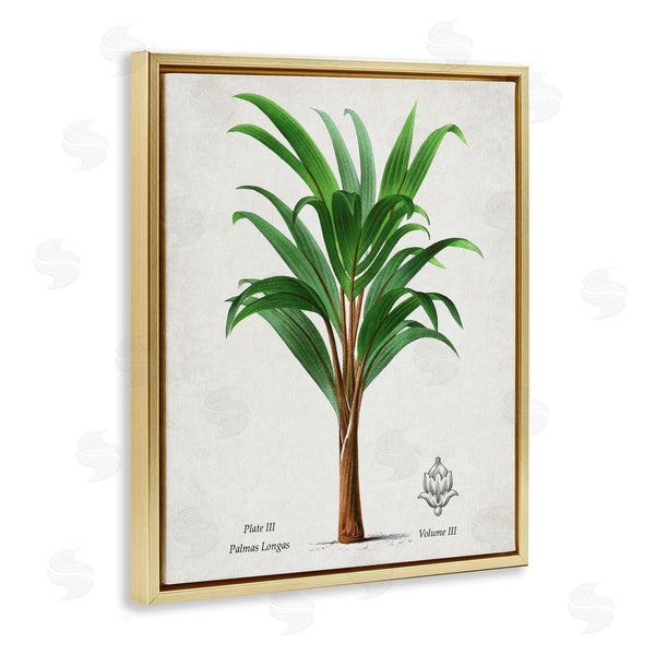 Stupell Industries Val Rhodes | Vintage Banana Leaf Palm