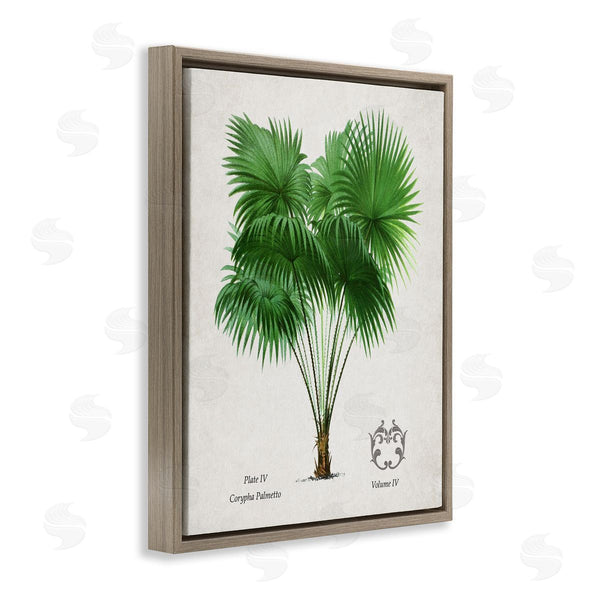 Stupell Industries Val Rhodes | Vintage Fan Palm Plant