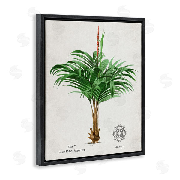 Stupell Industries Val Rhodes | Vintage Wide Palm Plant