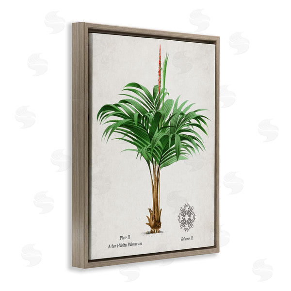 Stupell Industries Val Rhodes | Vintage Wide Palm Plant