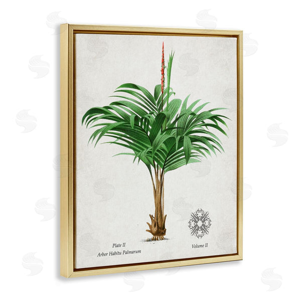 Stupell Industries Val Rhodes | Vintage Wide Palm Plant