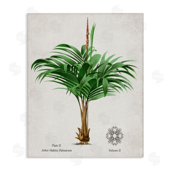 stupell industries Val Rhodes | Vintage Wide Palm Plant