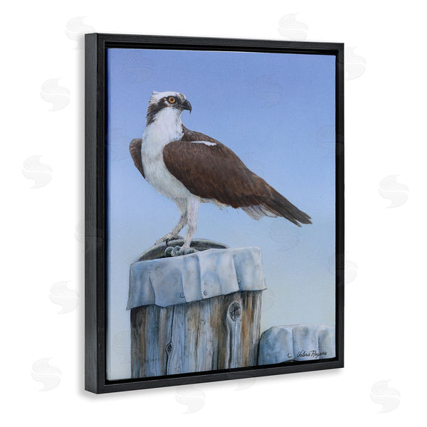 Stupell Industries Valerie Rogers | Harbor Master Bird Perched