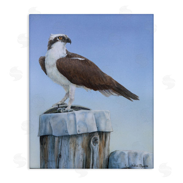 stupell industries Valerie Rogers | Harbor Master Bird Perched