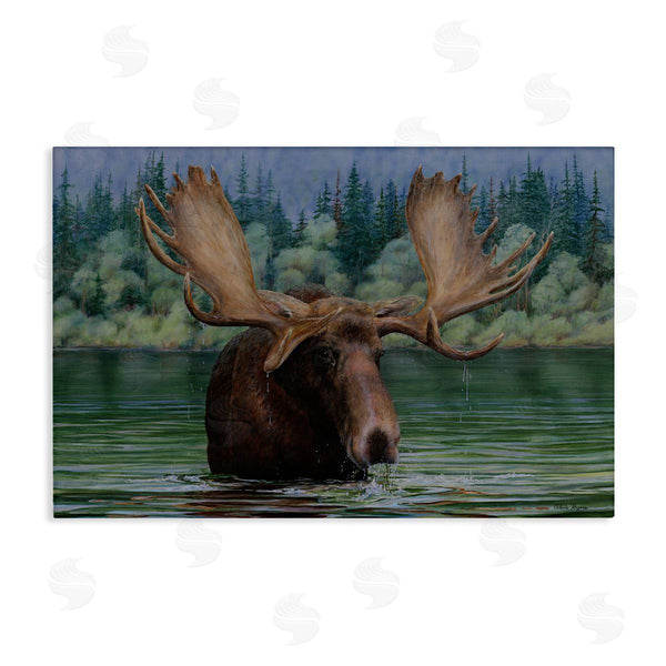 stupell industries Valerie Rogers | Moose Swimming in Lake