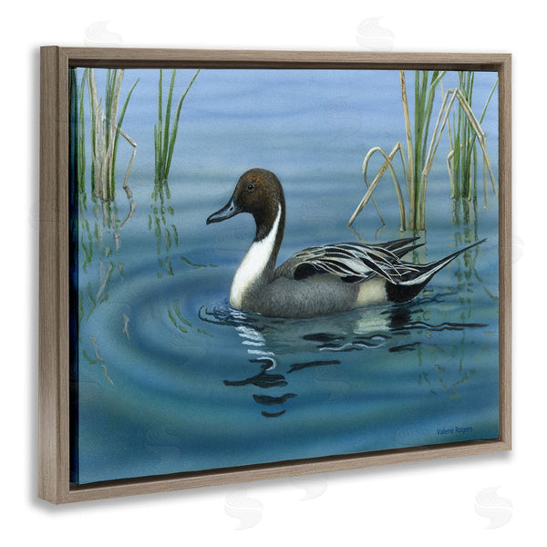 Stupell Industries Valerie Rogers | Pintail Loon In Pond