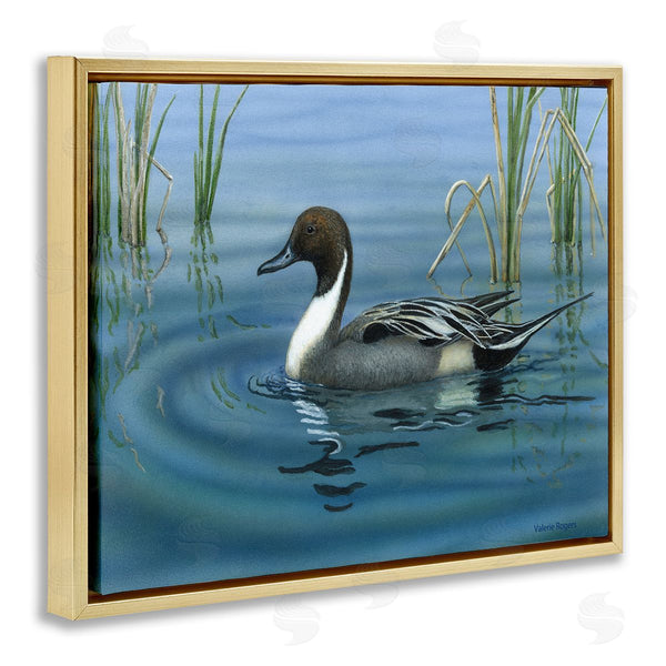 Stupell Industries Valerie Rogers | Pintail Loon In Pond