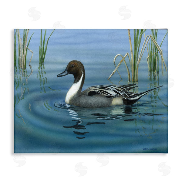 stupell industries Valerie Rogers | Pintail Loon in Pond