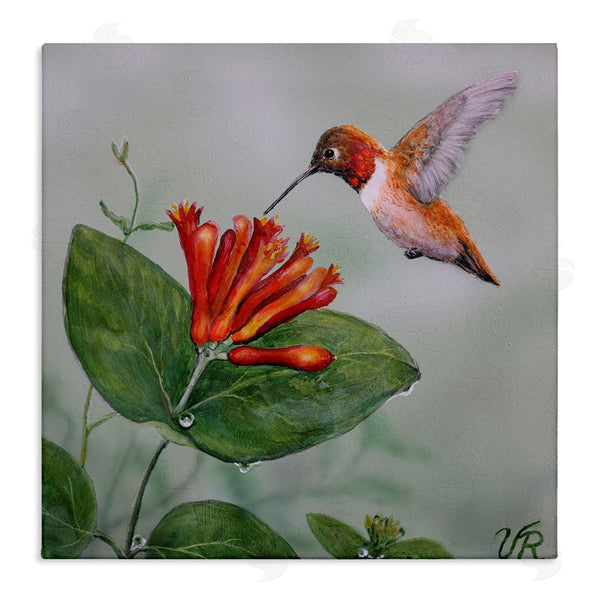 stupell industries Valerie Rogers | Red Hummingbird & Flower