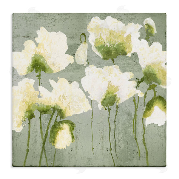 stupell industries Vanessa Austin | Modern White Flower Blooms