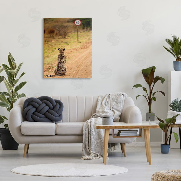 Stupell Industries Vaughan Jessnitz | Speedy Cheetah On Road Wall Art