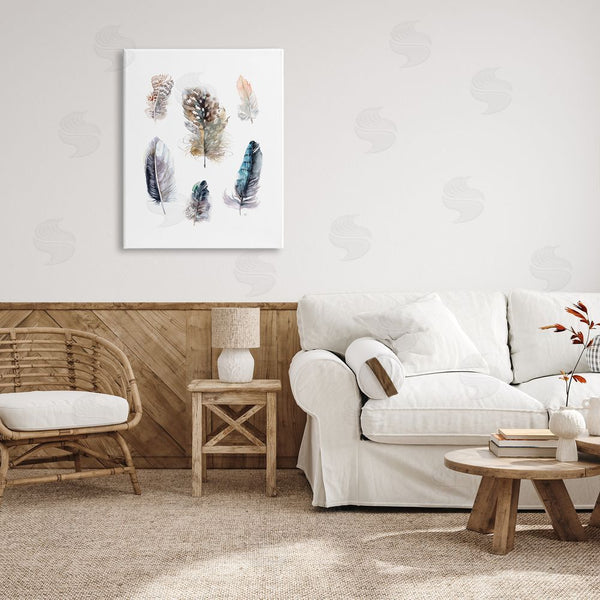 Stupell Industries Verbrugge Watercolor | Arrangement Of Feathers Soft Watercolor Bird Patterns Wall Art